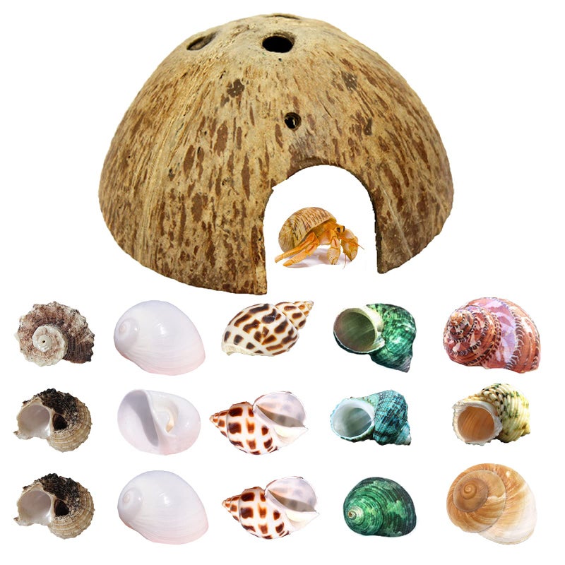 SINKOO Hermit Crab Shell Growth Seashells 15 PCS (7 Types) Natural Coconut Shells Hut for Fish Tank Decor Hide Reptile Hideouts - Image 1